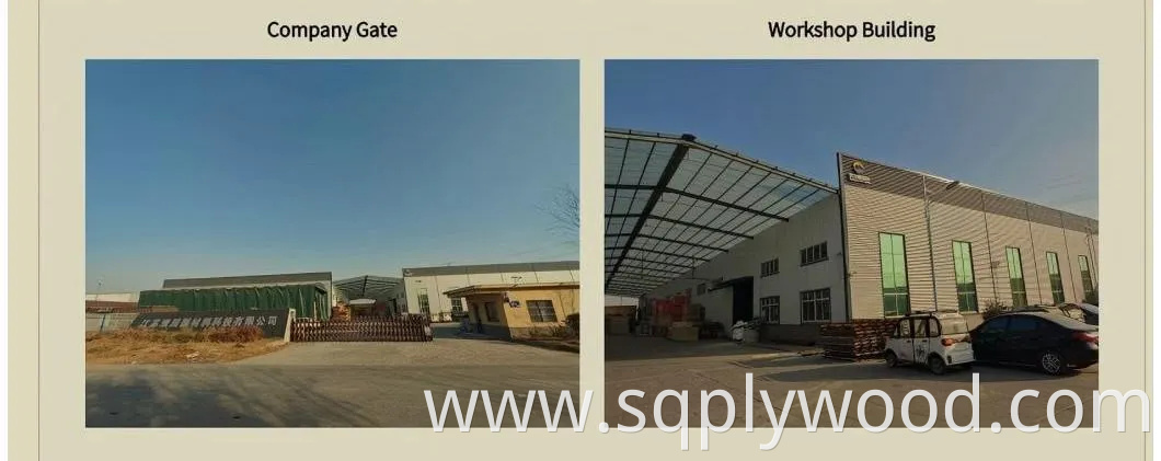 Reliable Melamine Plywood with CE Certification and Moisture Control